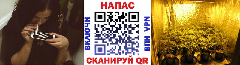 наркошоп Ярославль МАРИХУАНА гибрид
